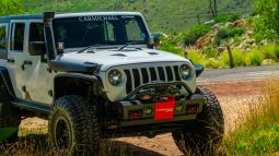 
										2019 Jeep Wrangler Unlimited 3.6L Rubicon full									