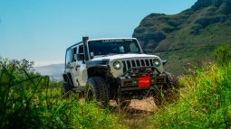 
										2019 Jeep Wrangler Unlimited 3.6L Rubicon full									