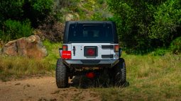 
										2019 Jeep Wrangler Unlimited 3.6L Rubicon full									