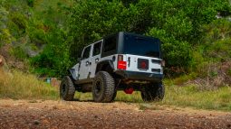 
										2019 Jeep Wrangler Unlimited 3.6L Rubicon full									