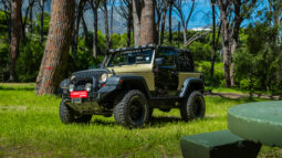 
										2010 Jeep Wrangler 3.8L Rubicon full									