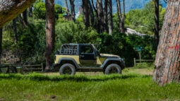 
										2010 Jeep Wrangler 3.8L Rubicon full									