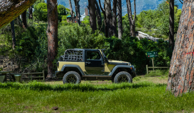 
								2010 Jeep Wrangler 3.8L Rubicon full									