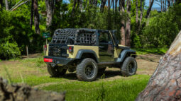 
										2010 Jeep Wrangler 3.8L Rubicon full									