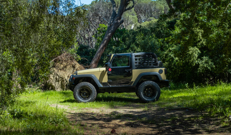 
								2010 Jeep Wrangler 3.8L Rubicon full									