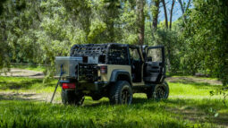 
										2010 Jeep Wrangler 3.8L Rubicon full									