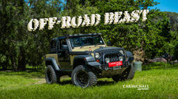 
										2010 Jeep Wrangler 3.8L Rubicon full									