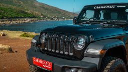 
										2019 Jeep Wrangler Unlimited 3.6 Rubicon full									
