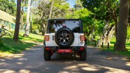 
										2019 Jeep Wrangler Unlimited 3.6 Rubicon full									