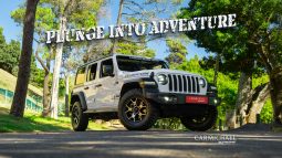 
										2019 Jeep Wrangler Unlimited 3.6 Rubicon full									