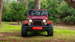 
										2001 Jeep Wrangler 4.0L Sahara full									
