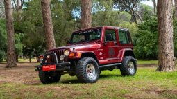 
										2001 Jeep Wrangler 4.0L Sahara full									