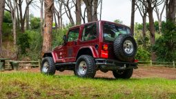 
										2001 Jeep Wrangler 4.0L Sahara full									