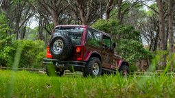 
										2001 Jeep Wrangler 4.0L Sahara full									