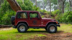 
										2001 Jeep Wrangler 4.0L Sahara full									