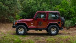 
										2001 Jeep Wrangler 4.0L Sahara full									
