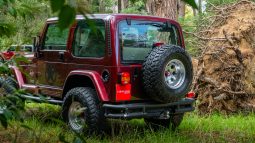 
										2001 Jeep Wrangler 4.0L Sahara full									