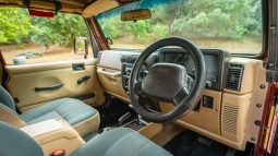 
										2001 Jeep Wrangler 4.0L Sahara full									