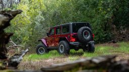 
										2021 Jeep Wrangler Unlimited 3.6 Rubicon full									
